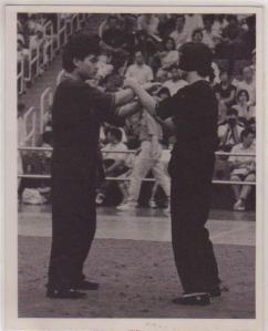 Master Tam Yiu Ming Chi Sau 2