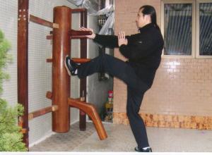 Master Tam Yiu Ming Mok Yan Chong 2